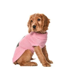 Bobby Bobby Trui Darling Pink -Hondenmode bobby trui darling pink 2