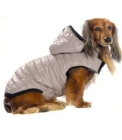 Bobby Bobby Winterjas Arrow Beige (ALLEEN SMALL ) -Hondenmode bobby winterjas arrow beige alleen small 1