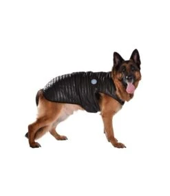 Bobby Bobby Winterjas Manteau Explo Black -Hondenmode bobby winterjas manteau explo black 1