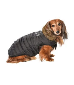 Bobby Bobby Winterjas Paris Zwart ( ALLEEN XS ) -Hondenmode bobby winterjas paris zwart alleen xs 1