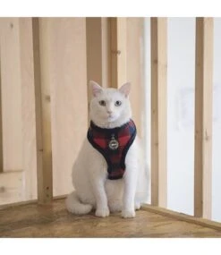 Catspia Catspia Katten Tuigje Figaro Harness Red -Hondenmode catspia katten tuigje figaro harness red 2