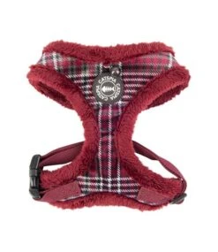 Catspia Catspia Katten Tuigje Neve Harness Wine
