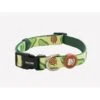 Dukier Dukier Halsband Collar Avocado -Hondenmode dukier halsband collar avocado