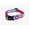 Dukier Dukier Halsband Collar Cupcakes -Hondenmode dukier halsband collar cupcakes