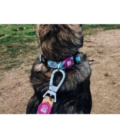 Dukier Dukier Halsband Collar Cupcakes -Hondenmode dukier halsband collar cupcakes 2