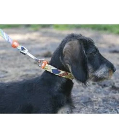 Dukier Dukier Halsband Collar Icecream -Hondenmode dukier halsband collar icecream 2