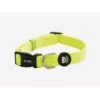 Dukier Dukier Halsband Collar Neon