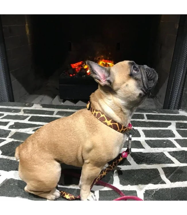 Dukier Dukier Halsband Collar Savana 4 Dukier Dukier Halsband Collar Savana - Afbeelding 2