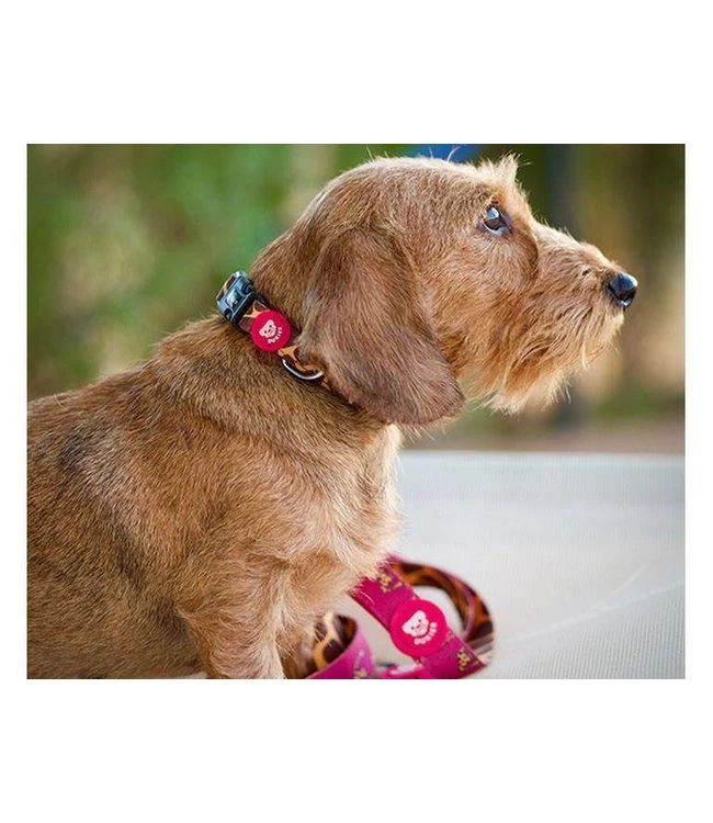 Dukier Dukier Halsband Collar Savana 5 Dukier Dukier Halsband Collar Savana - Afbeelding 3