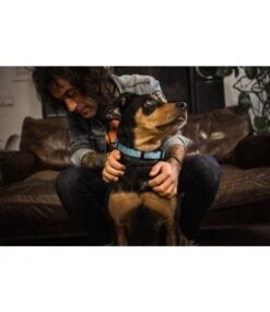 Dukier Dukier Halsband Collar Skulls 7 Dukier Dukier Halsband Collar Skulls -Hondenmode dukier halsband collar skulls 2