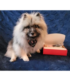 Frenkiez Frenkiez Christmas Giftbox Black Edition -Hondenmode frenkiez christmas giftbox black edition 2