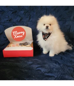 Frenkiez Frenkiez Christmas Giftbox Black Edition -Hondenmode frenkiez christmas giftbox black edition 3