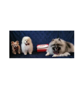 Frenkiez Frenkiez Christmas Giftbox Brown Edition 7 Frenkiez Frenkiez Christmas Giftbox Brown Edition -Hondenmode frenkiez christmas giftbox brown edition 2