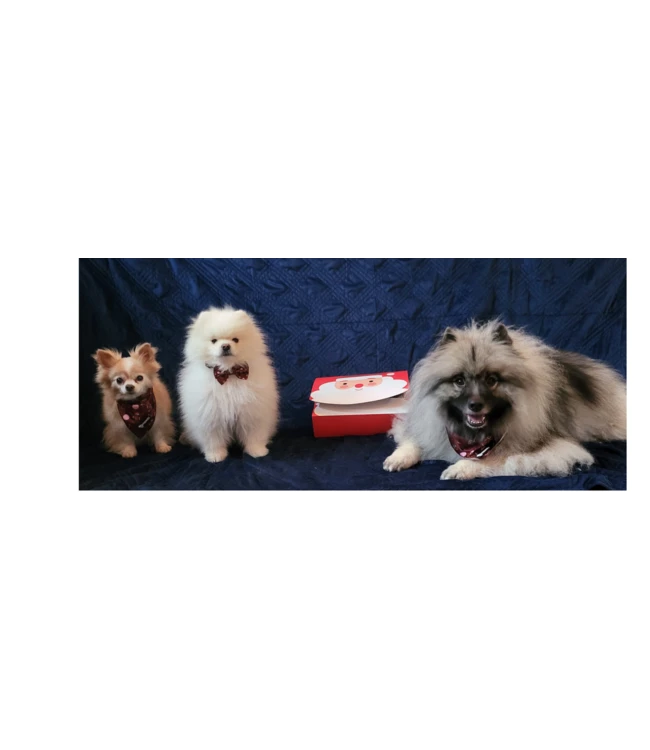 Frenkiez Frenkiez Christmas Giftbox Brown Edition 5 Frenkiez Frenkiez Christmas Giftbox Brown Edition - Afbeelding 3