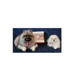 Frenkiez Frenkiez Christmas Giftbox Pink Edition -Hondenmode frenkiez christmas giftbox pink edition 2