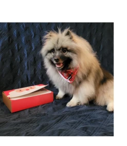 Frenkiez Frenkiez Christmas Giftbox Red Edition -Hondenmode frenkiez christmas giftbox red edition 2