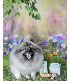 Frenkiez Frenkiez Paasbox Girlzz -Hondenmode frenkiez paasbox girlzz 1