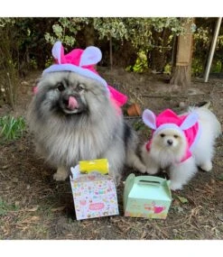 Frenkiez Frenkiez Paasbox Girlzz -Hondenmode frenkiez paasbox girlzz 2