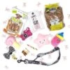 Frenkiez Frenkiez Puppyshower Giftbox Girlzz 1 Frenkiez Frenkiez Puppyshower Giftbox Girlzz -Hondenmode frenkiez puppyshower giftbox girlzz