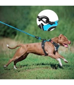 Frenkiez Frenkiez Reflective Dog Leash Blue -Hondenmode frenkiez reflective dog leash blue 2