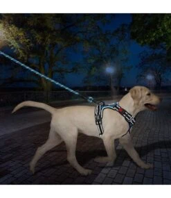 Frenkiez Frenkiez Reflective Dog Leash Blue -Hondenmode frenkiez reflective dog leash blue 3