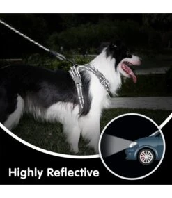 Frenkiez Frenkiez Reflective Dog Leash Grey 7 Frenkiez Frenkiez Reflective Dog Leash Grey -Hondenmode frenkiez reflective dog leash grey 1