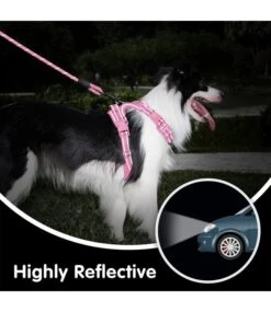 Frenkiez Frenkiez Reflective Dog Leash Light Pink -Hondenmode frenkiez reflective dog leash light pink 1