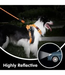 Frenkiez Frenkiez Reflective Dog Leash Orange -Hondenmode frenkiez reflective dog leash orange 7