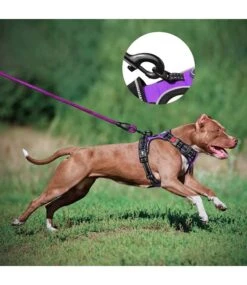 Frenkiez Frenkiez Reflective Dog Leash Purple -Hondenmode frenkiez reflective dog leash purple 1