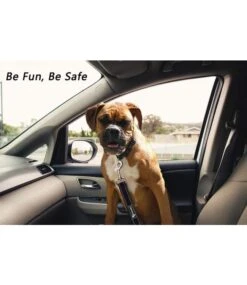 Frenkiez Frenkiez Reflective Dog Leash Purple -Hondenmode frenkiez reflective dog leash purple 7