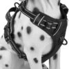 Frenkiez Frenkiez Reflective No Pull Dog Harness Black -Hondenmode frenkiez reflective no pull dog harness black