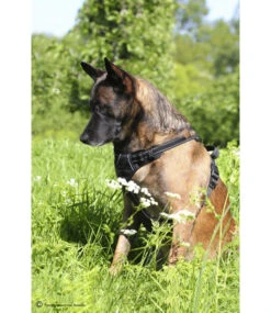 Frenkiez Frenkiez Reflective No Pull Dog Harness Black -Hondenmode frenkiez reflective no pull dog harness black 4