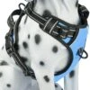 Frenkiez Frenkiez Reflective No Pull Dog Harness Blue XS & S ) -Hondenmode frenkiez reflective no pull dog harness blue xs s