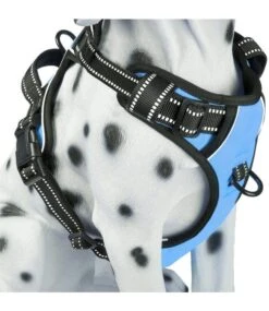 Frenkiez Frenkiez Reflective No Pull Dog Harness Blue XS & S )