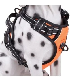 Frenkiez Frenkiez Reflective No Pull Dog Harness Orange