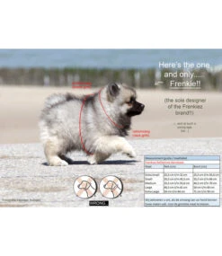 Frenkiez Frenkiez Reflective No Pull Dog Harness Orange -Hondenmode frenkiez reflective no pull dog harness orange 4