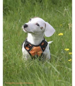 Frenkiez Frenkiez Reflective No Pull Dog Harness Orange -Hondenmode frenkiez reflective no pull dog harness orange 5
