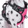 Frenkiez Frenkiez Reflective No Pull Dog Harness Pink 1 Frenkiez Frenkiez Reflective No Pull Dog Harness Pink -Hondenmode frenkiez reflective no pull dog harness pink
