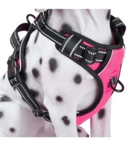 Frenkiez Frenkiez Reflective No Pull Dog Harness Pink