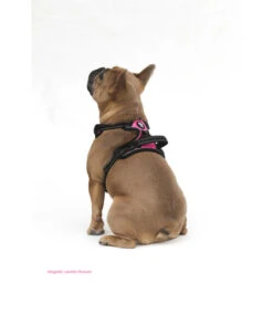 Frenkiez Frenkiez Reflective No Pull Dog Harness Pink 15 Frenkiez Frenkiez Reflective No Pull Dog Harness Pink -Hondenmode frenkiez reflective no pull dog harness pink 3