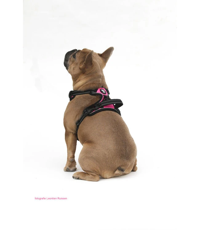 Frenkiez Frenkiez Reflective No Pull Dog Harness Pink 6 Frenkiez Frenkiez Reflective No Pull Dog Harness Pink - Afbeelding 4