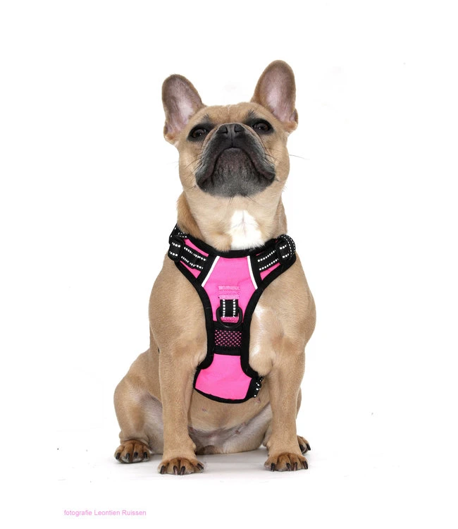Frenkiez Frenkiez Reflective No Pull Dog Harness Pink 7 Frenkiez Frenkiez Reflective No Pull Dog Harness Pink - Afbeelding 5