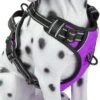 Frenkiez Frenkiez Reflective No Pull Dog Harness Purple -Hondenmode frenkiez reflective no pull dog harness purple