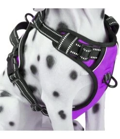 Frenkiez Frenkiez Reflective No Pull Dog Harness Purple
