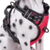 Frenkiez Frenkiez Reflective No Pull Dog Harness Red 1 Frenkiez Frenkiez Reflective No Pull Dog Harness Red -Hondenmode frenkiez reflective no pull dog harness red