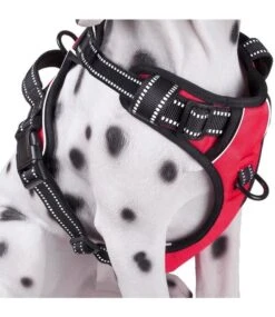 Frenkiez Frenkiez Reflective No Pull Dog Harness Red
