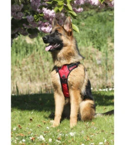 Frenkiez Frenkiez Reflective No Pull Dog Harness Red -Hondenmode frenkiez reflective no pull dog harness red 3