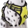Frenkiez Frenkiez Reflective No Pull Dog Harness Yellow/green -Hondenmode frenkiez reflective no pull dog harness yellow gre