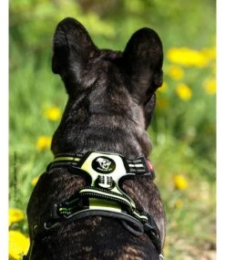 Frenkiez Frenkiez Reflective No Pull Dog Y Harness Yellow/green ( XS . S & XL ) -Hondenmode frenkiez reflective no pull dog y harness yellow g 2