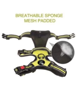 Frenkiez Frenkiez Reflective No Pull Dog Y Harness Yellow/green ( XS . S & XL ) -Hondenmode frenkiez reflective no pull dog y harness yellow g 3